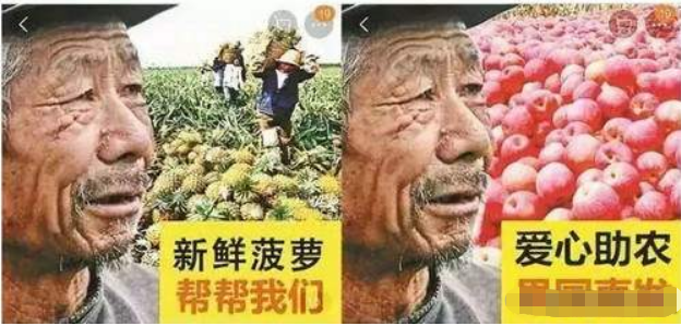 利用短视频操作滞销水果售卖 零成本倒卖也能年赚百万元-甘南项目网