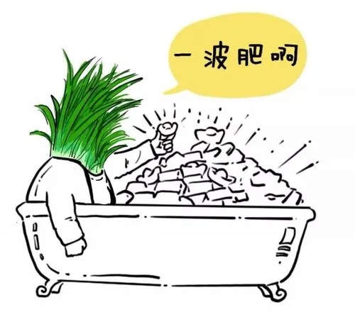 他问我自己是不是被割韭菜了？-甘南项目网