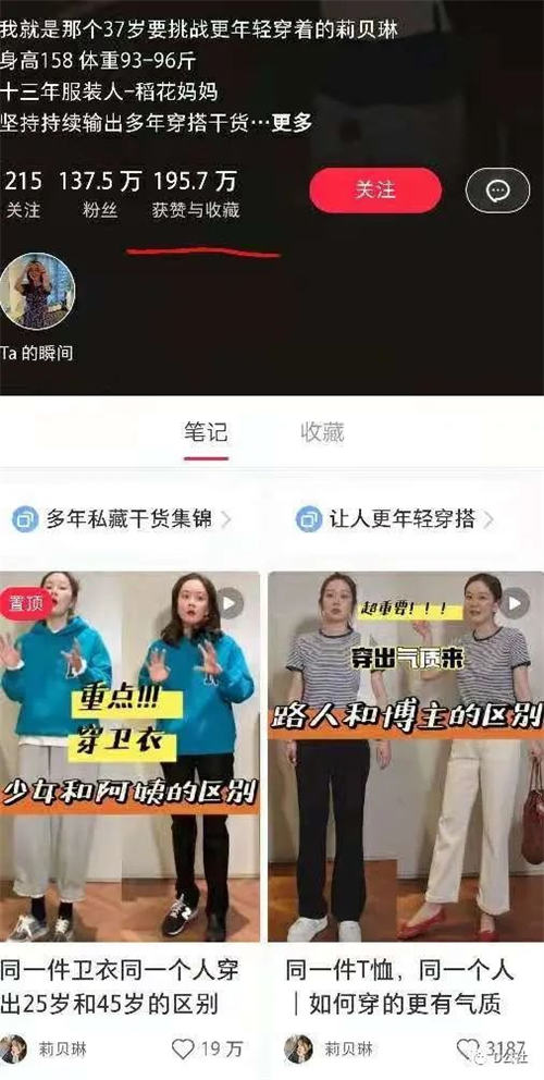 小红书自媒体流量变现项目介绍-甘南项目网