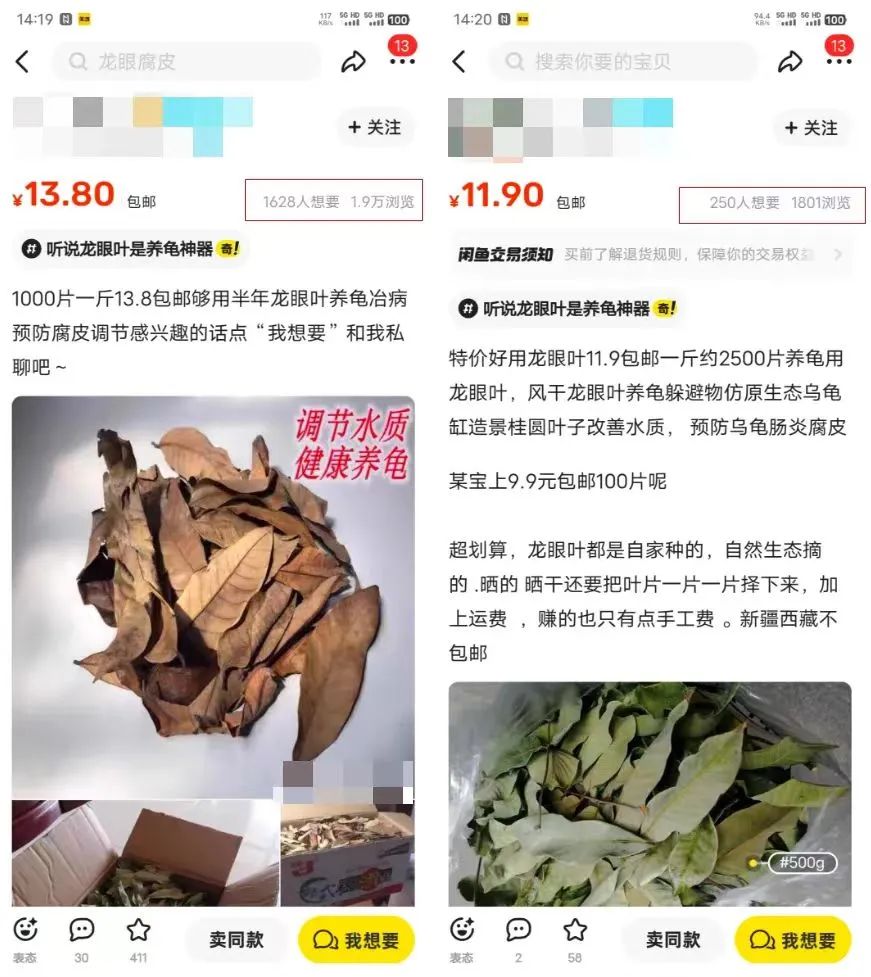 0成本靠卖树叶赚钱，1单20块，单日300+-甘南项目网