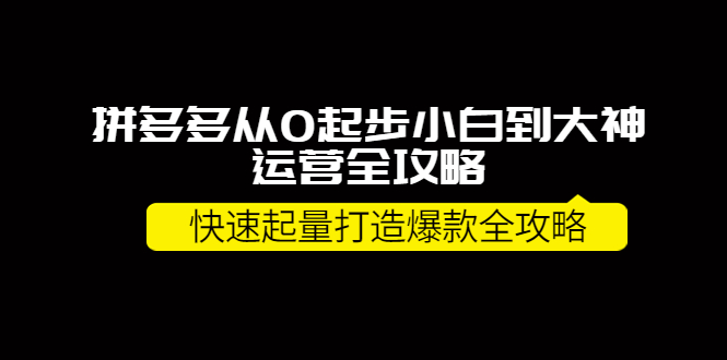 拼多多从0起步小白到大神运营全攻略，快速起量打造10W+爆款全攻略-甘南项目网