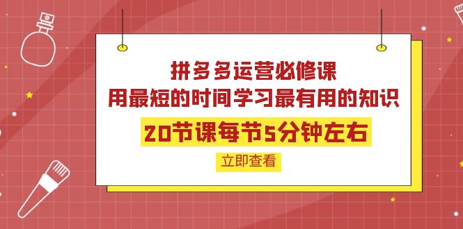 拼多多运营必修课：20节课每节5分钟左右，用最短的时间学习最有用的知识-甘南项目网