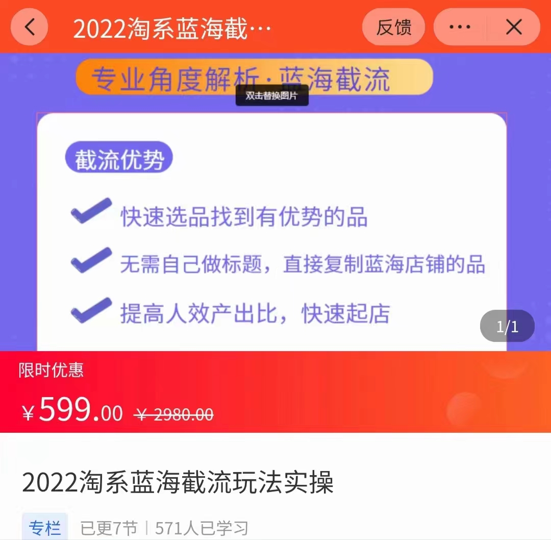 2022淘系蓝海截流玩法实操 让你选品速度更快，提高选品质量（价值599元）-甘南项目网