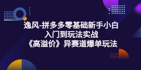 拼多多零基础新手小白入门到玩法实战《高溢价》异赛道爆单玩法实操课-甘南项目网