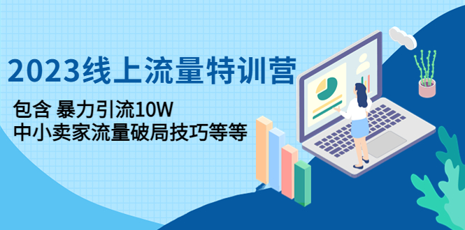 2023线上流量特训营：包含暴力引流10W+中小卖家流量破局技巧等等-甘南项目网