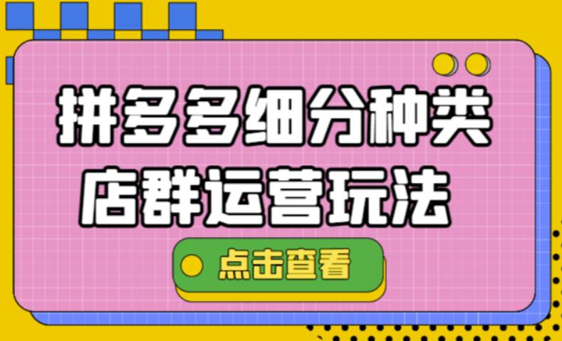 拼多多细分种类店群运营玩法3.0，11月最新玩法，小白也可以操作-甘南项目网