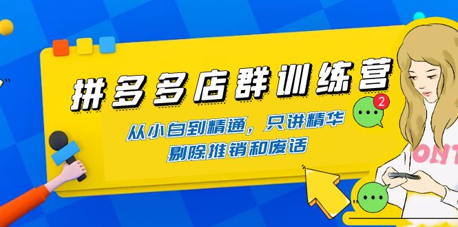 拼多多店群训练营：从小白到精通，只讲精华，剔除推销和废话-甘南项目网