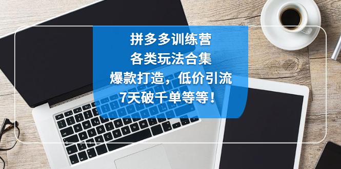 拼多多训练营：各玩法合集，爆款打造，低价引流，7天破千单等等-甘南项目网