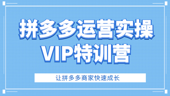 拼多多运营实操VIP特训营，让拼多多商家快速成长（价值3180元）-甘南项目网