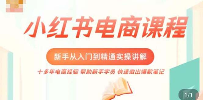 小红书电商新手入门到精通实操课，从入门到精通做爆款笔记，开店运营-甘南项目网