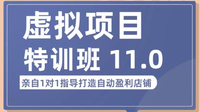 虚拟项目特训班（10.0+11.0），0成本获取虚拟素材，0基础打造自动盈利店铺-甘南项目网