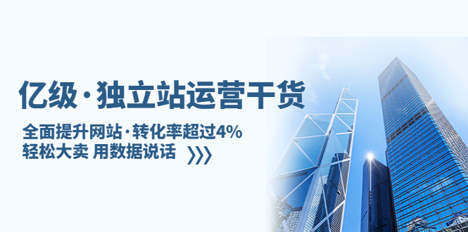 亿级·独立站运营干货：全面提升网站·转化率超过4%，轻松大卖 用数据说话-甘南项目网