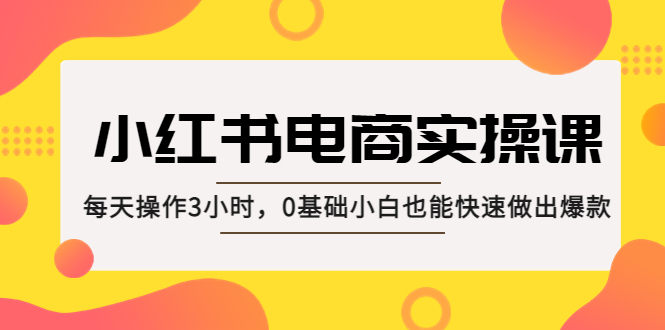 小红书·电商实操课：每天操作3小时，0基础小白也能快速做出爆款-甘南项目网