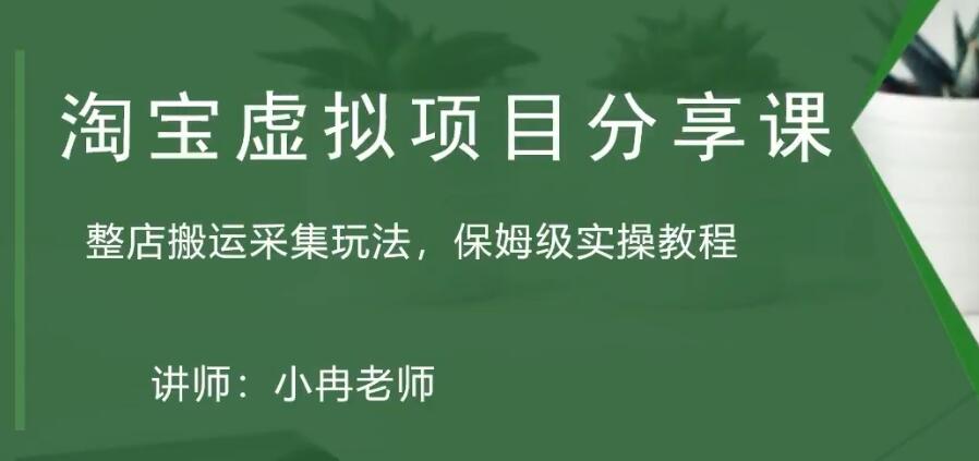 淘宝虚拟整店搬运采集玩法分享课：整店搬运采集玩法，保姆级实操教程-甘南项目网