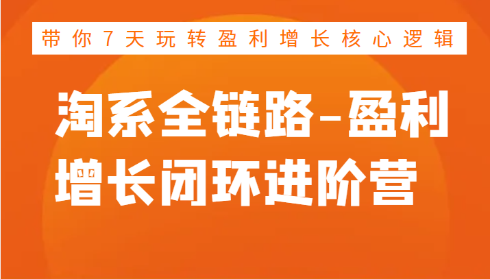 淘系全链路-盈利增长闭环进阶营，带你7天玩转盈利增长核心逻辑-甘南项目网