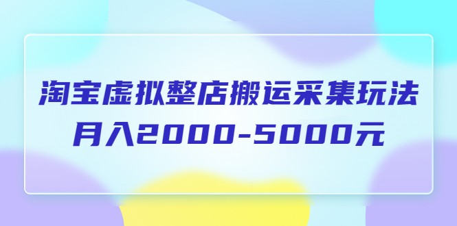 淘宝虚拟整店搬运采集玩法分享课：月入2000-5000元（5节课）-甘南项目网