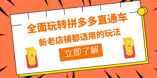 全面玩转拼多多直通车，新老店铺都适用的玩法（12节精华课）-甘南项目网