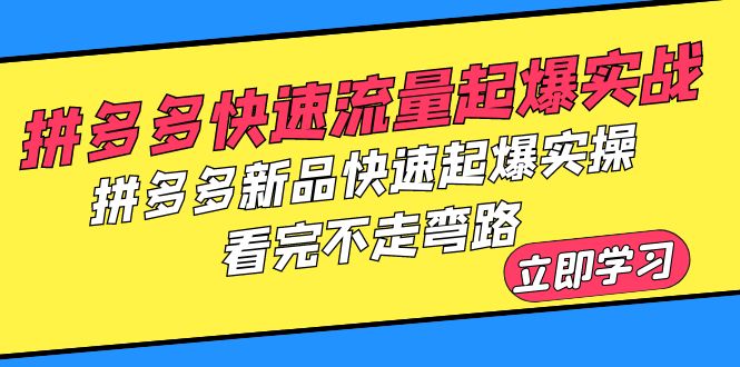 拼多多-快速流量起爆实战，拼多多新品快速起爆实操，看完不走弯路-甘南项目网