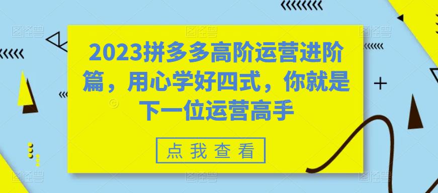 2023拼多多高阶运营进阶篇，用心学好四式，你就是下一位运营高手-甘南项目网