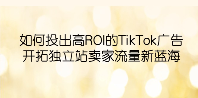 如何投出高ROI·TikTok广告，开拓独立站卖家流量新蓝海-甘南项目网