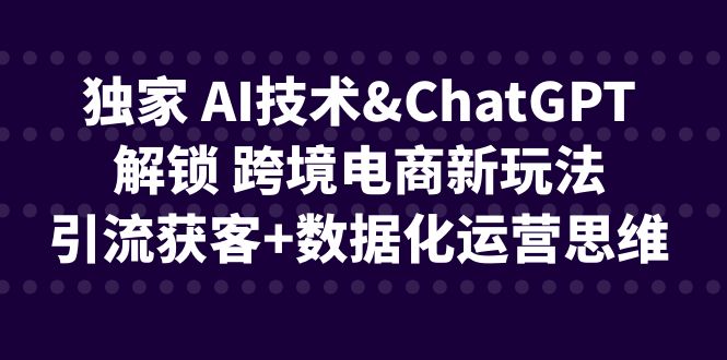 独家 AI技术&ChatGPT解锁 跨境电商新玩法，引流获客+数据化运营思维-甘南项目网