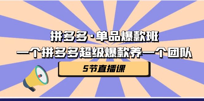 拼多多·单品爆款班，一个拼多多超级爆款养一个团队（5节直播课）-甘南项目网