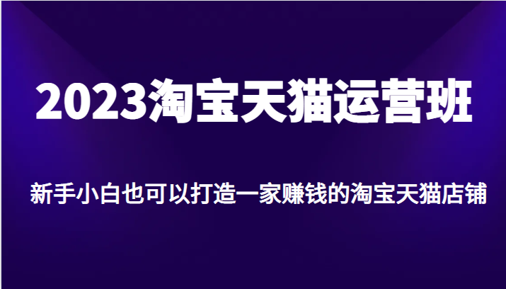 2023淘宝天猫运营班，新手小白也可以打造一家赚钱的淘宝天猫店铺-甘南项目网