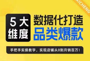 5大维度，数据化打造电商品类爆款特训营，一套高效运营爆款方法论-甘南项目网