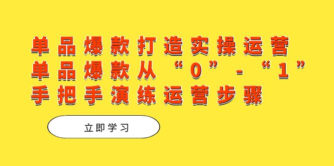 单品爆款打造实操运营，单品爆款从“0”-“1”手把手演练运营步骤-甘南项目网