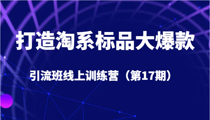 打造淘系标品大爆款引流班线上训练营（第17期）5天直播授课+1个月答疑-甘南项目网