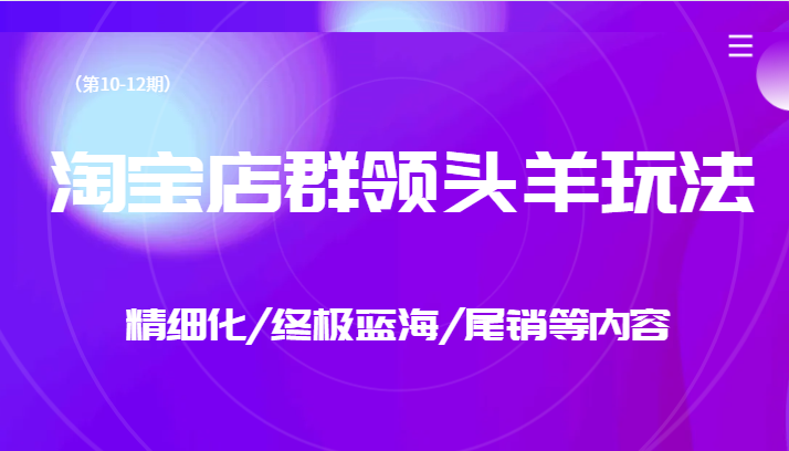 淘宝店群领头羊玩法，精细化/终极蓝海/尾销等内容（第10-12期）-甘南项目网