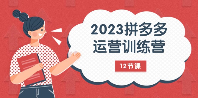 2023拼多多运营训练营：流量底层逻辑，免费+付费流量玩法（12节课）-甘南项目网