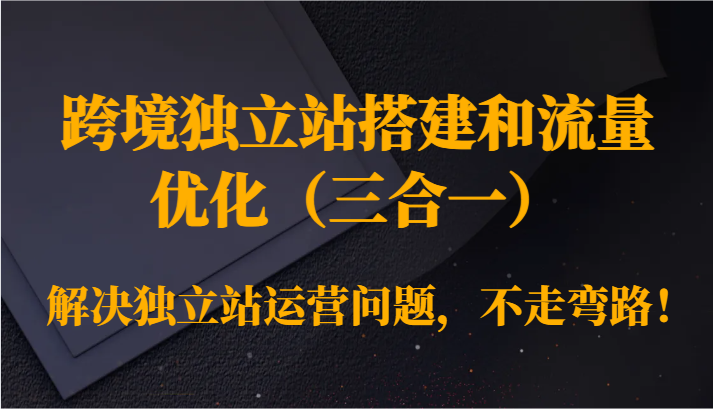 跨境独立站搭建和流量优化（三合一）解决独立站运营问题，不走弯路！-甘南项目网