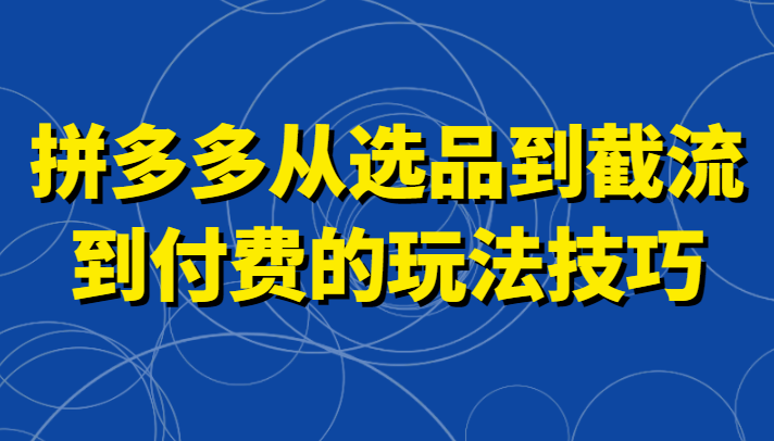 拼多多从选品到截流到付费的玩法技巧，助你掌握截流自然流量，高投产，强付费快速启动-甘南项目网