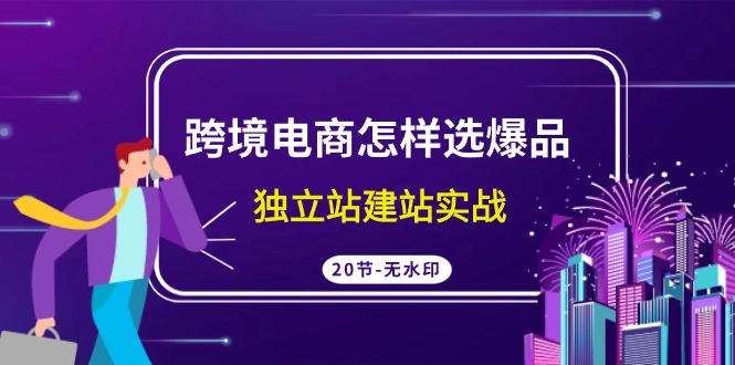 跨境电商怎样选爆品，独立站建站实战（20节高清课）-甘南项目网