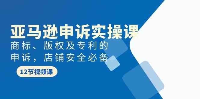 亚马逊申诉实战课，商标、版权及专利的申诉，店铺安全必备-甘南项目网