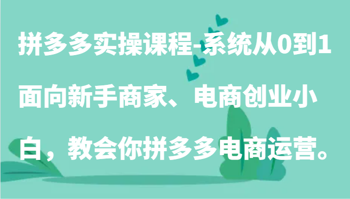 拼多多实操课程：系统从0到1，面向新手商家、电商创业小白，教会你拼多多电商运营。-甘南项目网