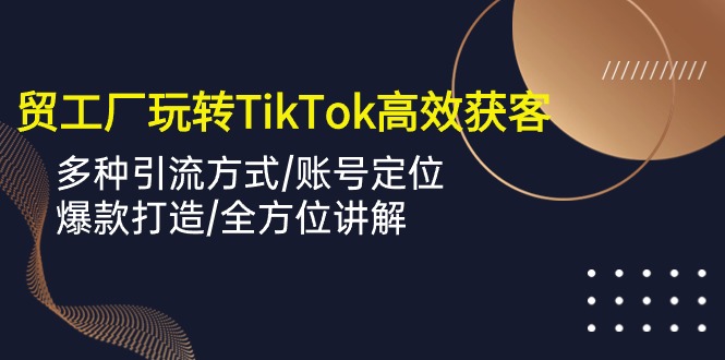 外贸工厂玩转TikTok高效获客，多种引流方式/账号定位/爆款打造/全方位讲解-甘南项目网