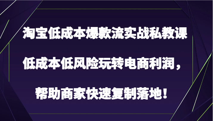 淘宝低成本爆款流实战私教课，低成本低风险玩转电商利润，帮助商家快速复制落地！-甘南项目网