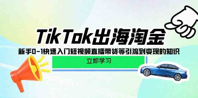 TikTok出海淘金，新手0-1快速入门短视频直播带货等引流到变现的知识-甘南项目网