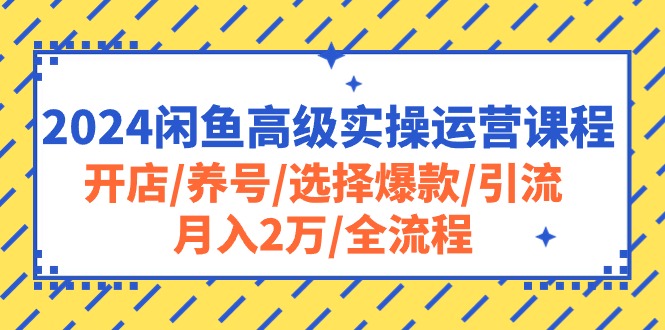 2024闲鱼高级实操运营课程：开店/养号/选择爆款/引流/月入2万/全流程-甘南项目网