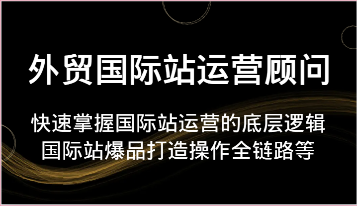 外贸国际站运营顾问-快速掌握国际站运营的底层逻辑，国际站爆品打造操作全链路等-甘南项目网