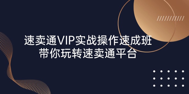 速卖通VIP实战操作速成班，带你玩转速卖通平台-甘南项目网