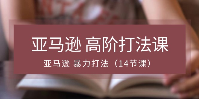 亚马逊高阶打法课，亚马逊暴力打法（14节视频课）-甘南项目网