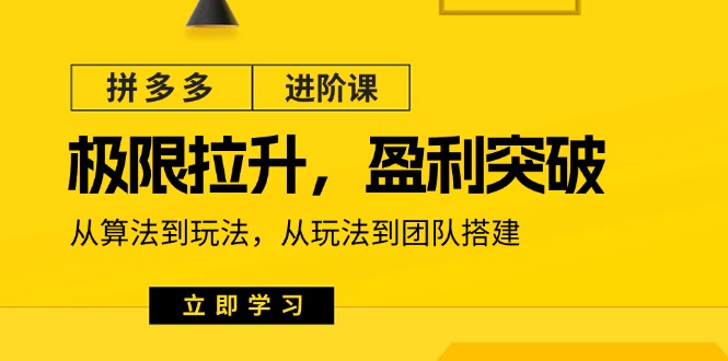 拼多多进阶课：极限拉升/盈利突破：从算法到玩法 从玩法到团队搭建（18节）-甘南项目网