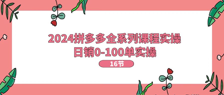 2024拼多多全系列课程实操，日销0-100单实操【16节课】-甘南项目网