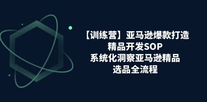 亚马逊爆款打造之精品开发SOP【训练营】，系统化洞察亚马逊精品选品全流程-甘南项目网