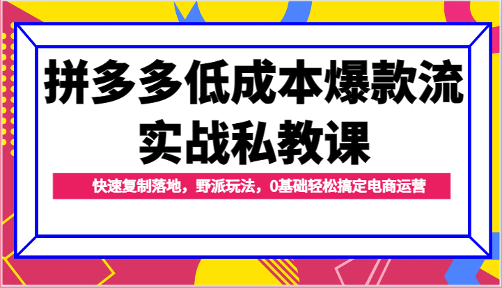 拼多多低成本爆款流实战私教课，快速复制落地，野派玩法，0基础轻松搞定电商运营-甘南项目网