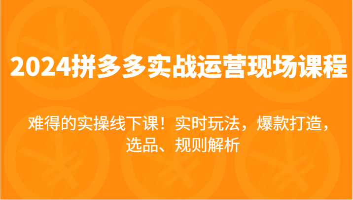 2024拼多多实战运营现场课，实时玩法，爆款打造，选品、规则解析，难得的实操线下课！-甘南项目网