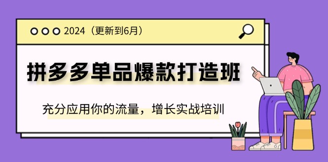 2024拼多多单品爆款打造班，充分应用你的流量，增长实战培训(更新6月)-甘南项目网